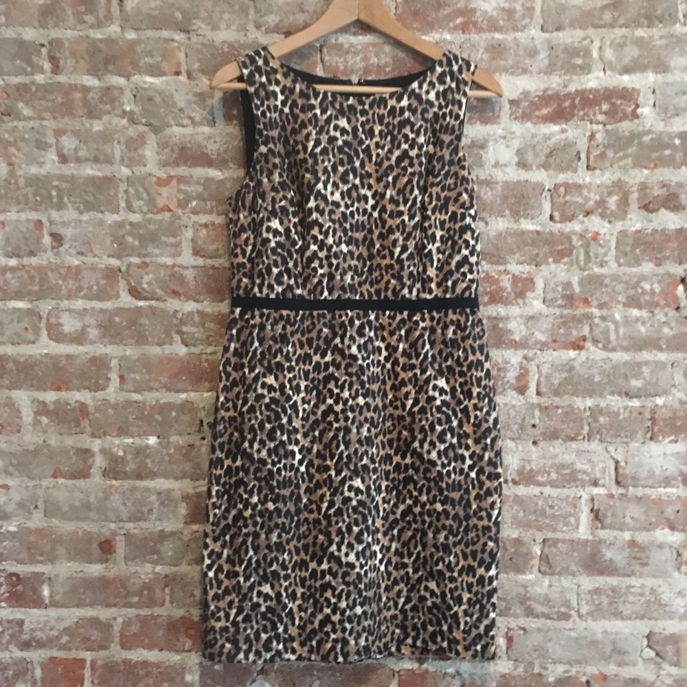 Loft leopard sheath dress